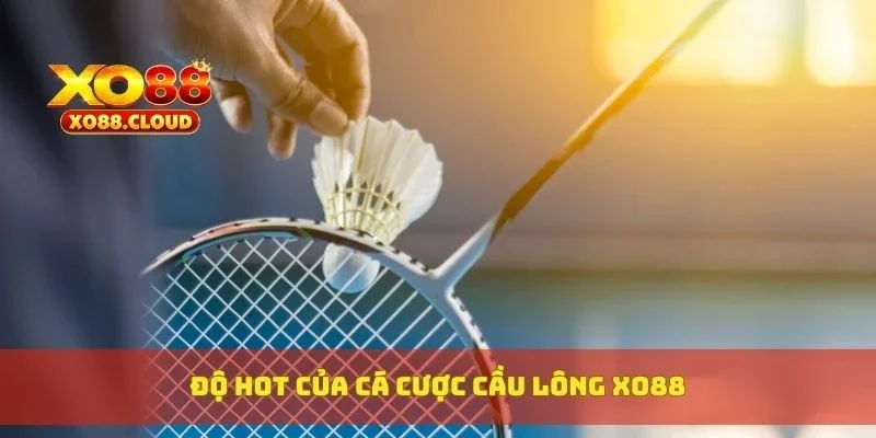Độ hot của cá cược cầu lông XO88
