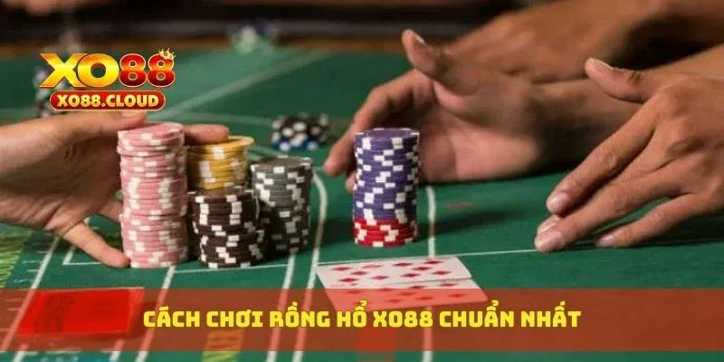 Cách chơi rồng hổ XO88 chuẩn nhất